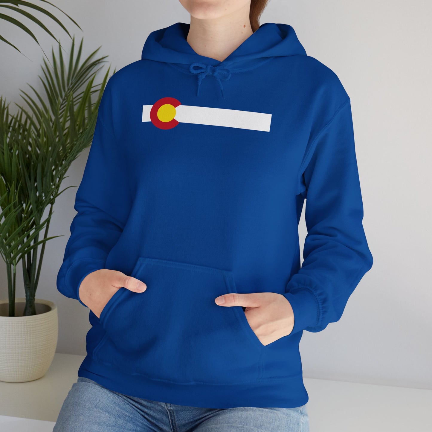 Colorado State Flag Hoodie