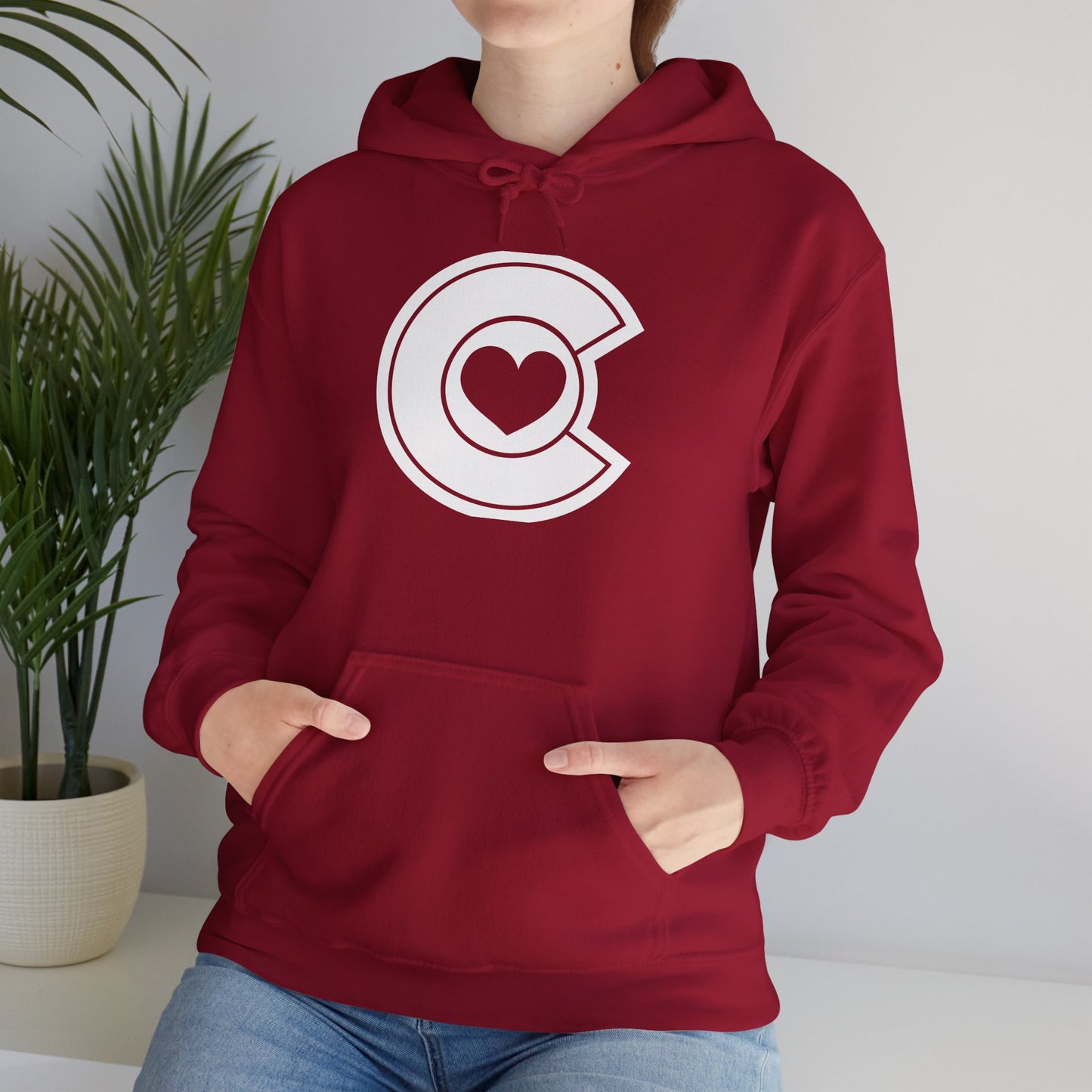 Colorado Love Hoodie