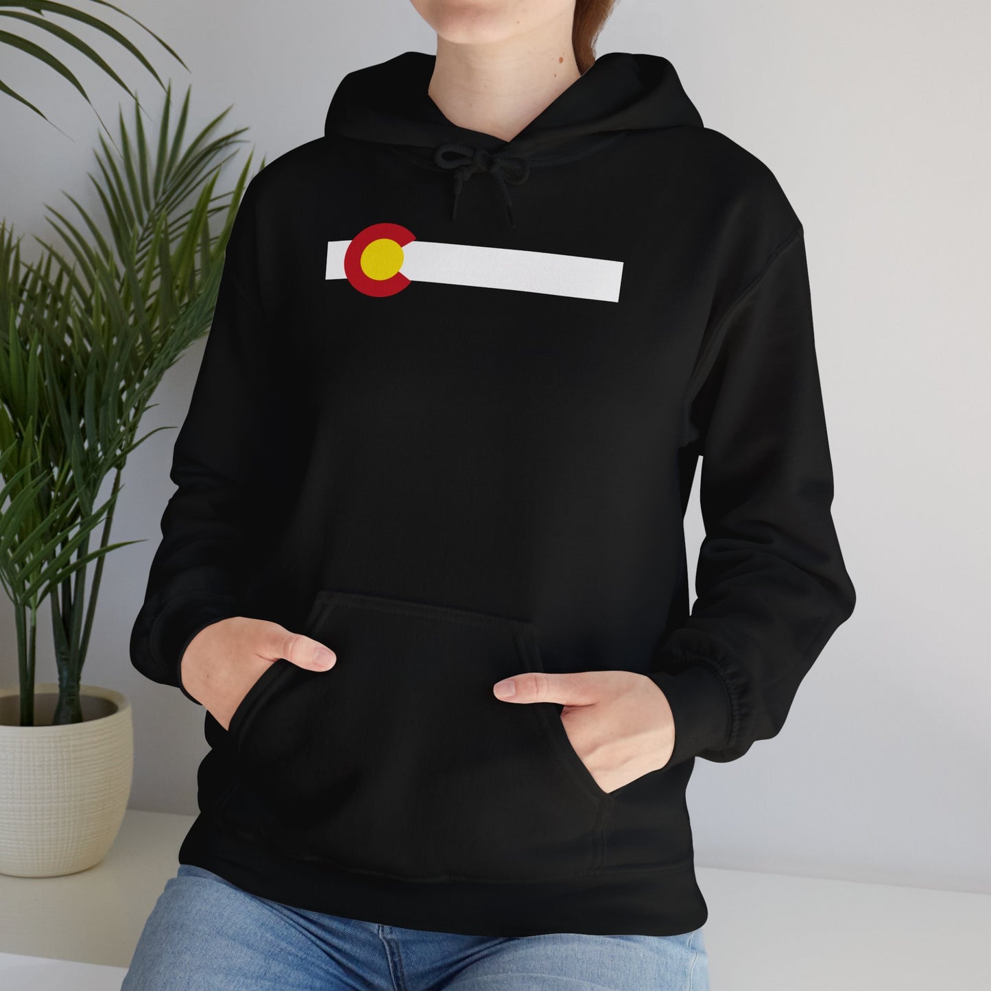 Colorado State Flag Hoodie