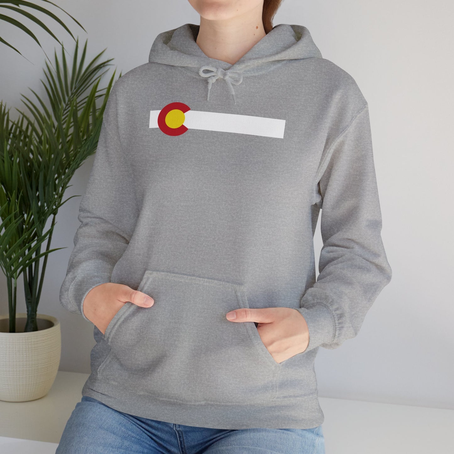 Colorado State Flag Hoodie