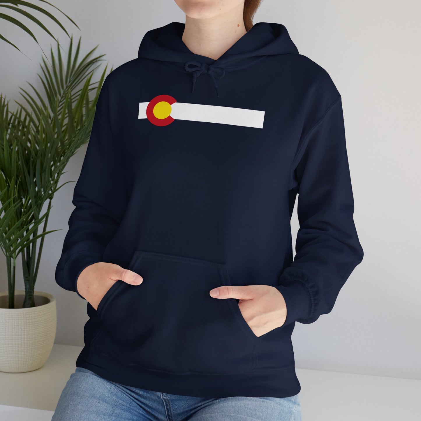 Colorado State Flag Hoodie
